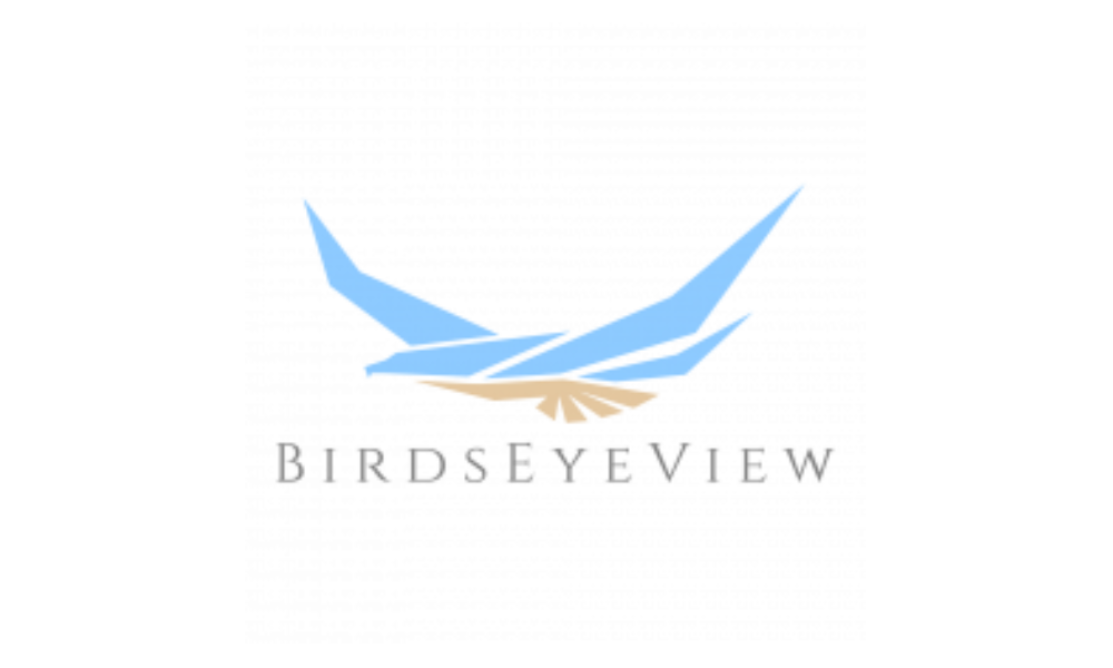 birdseyeviewtechnologies_logo@2x